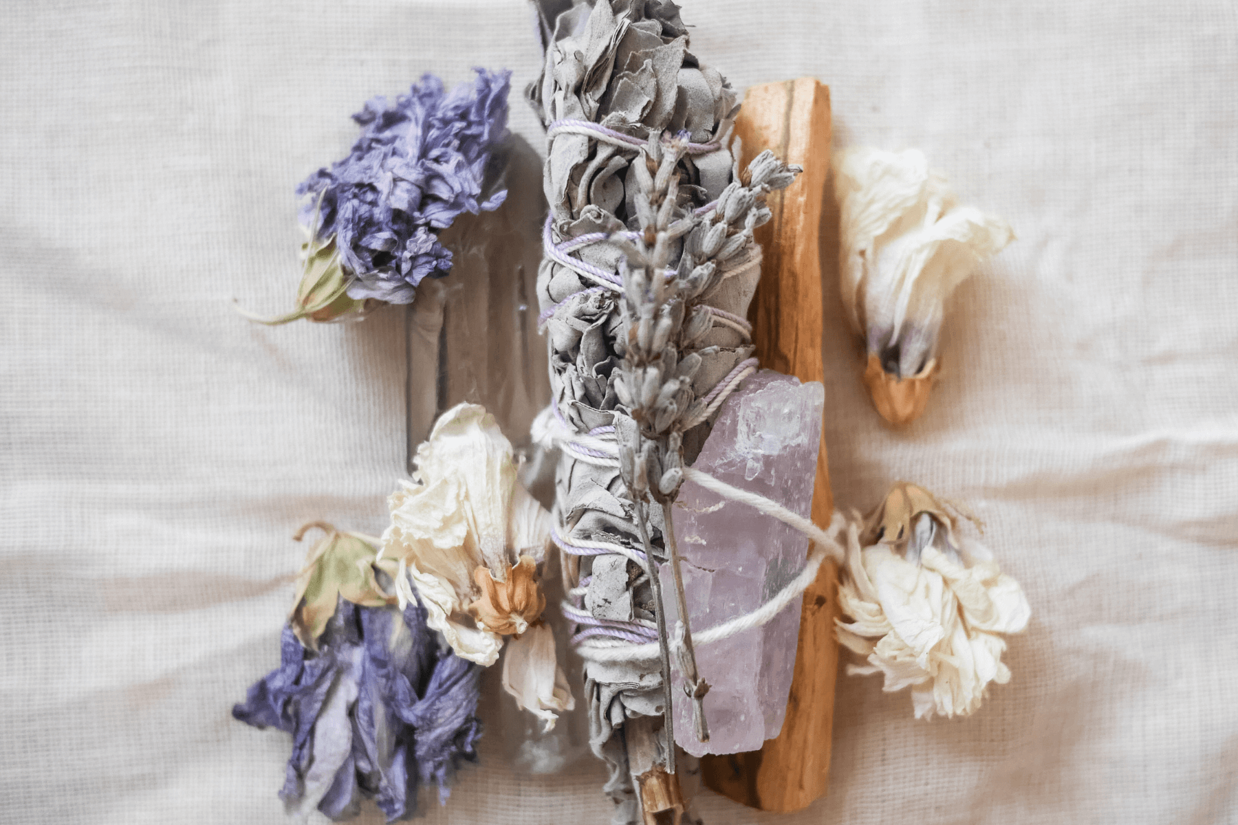 A Witch's Guide to Imbolc