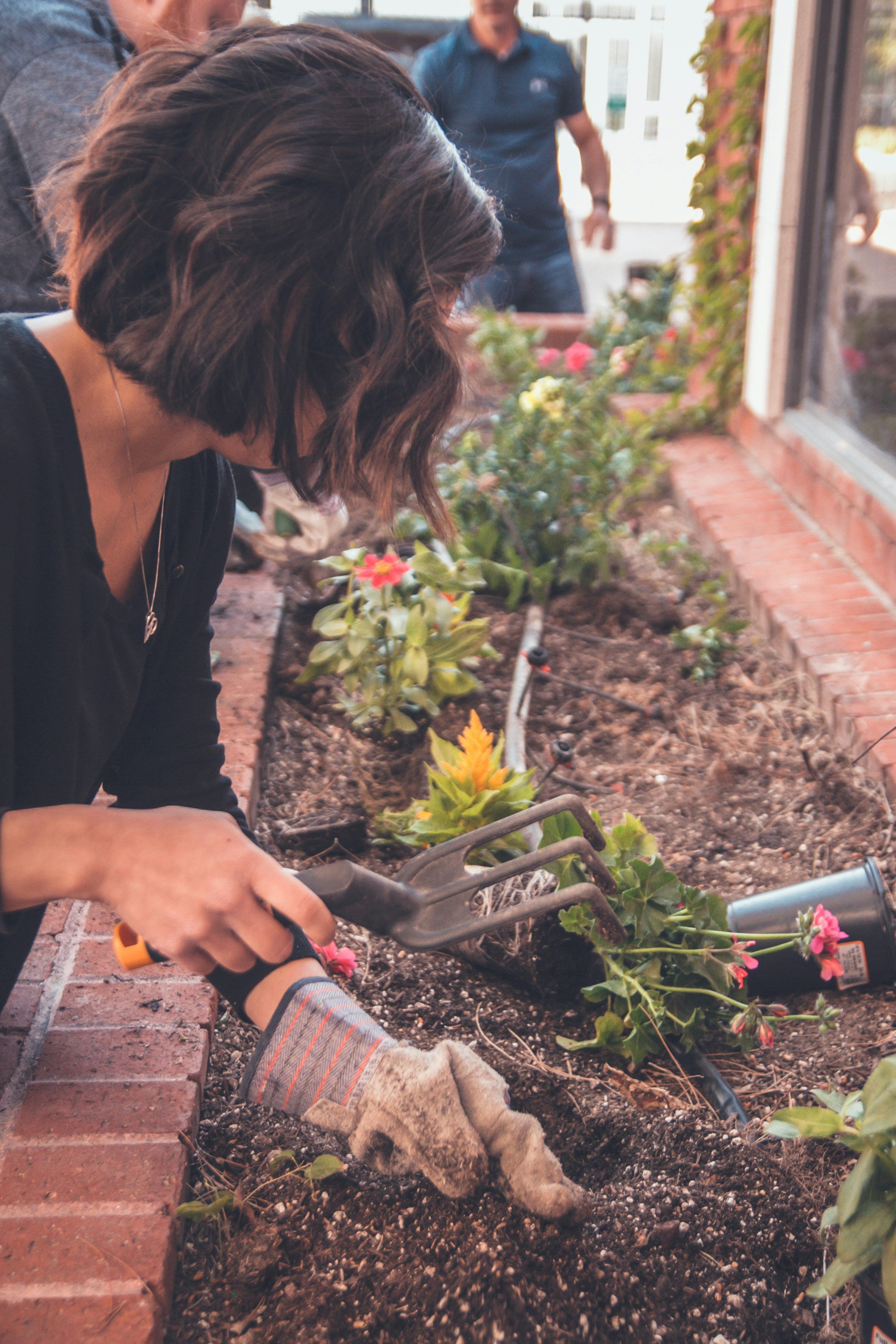 Plant Your Witchy Garden