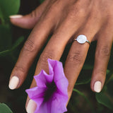 Hecate's Wheel (Strophalos of Hecate) Ring