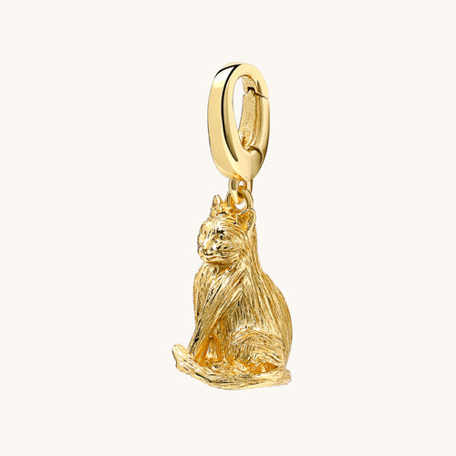 Cat Charm