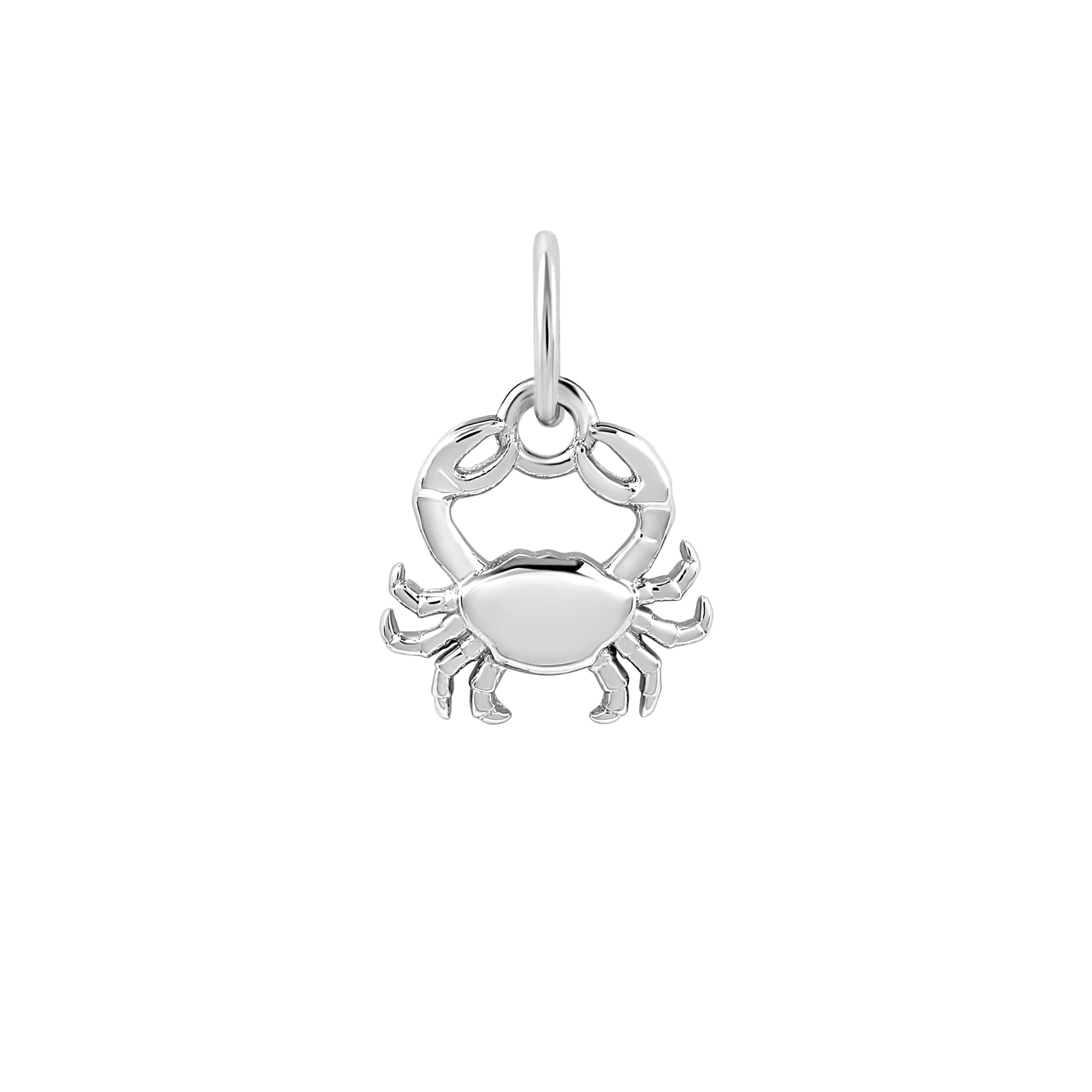 Single Zodiac Charm