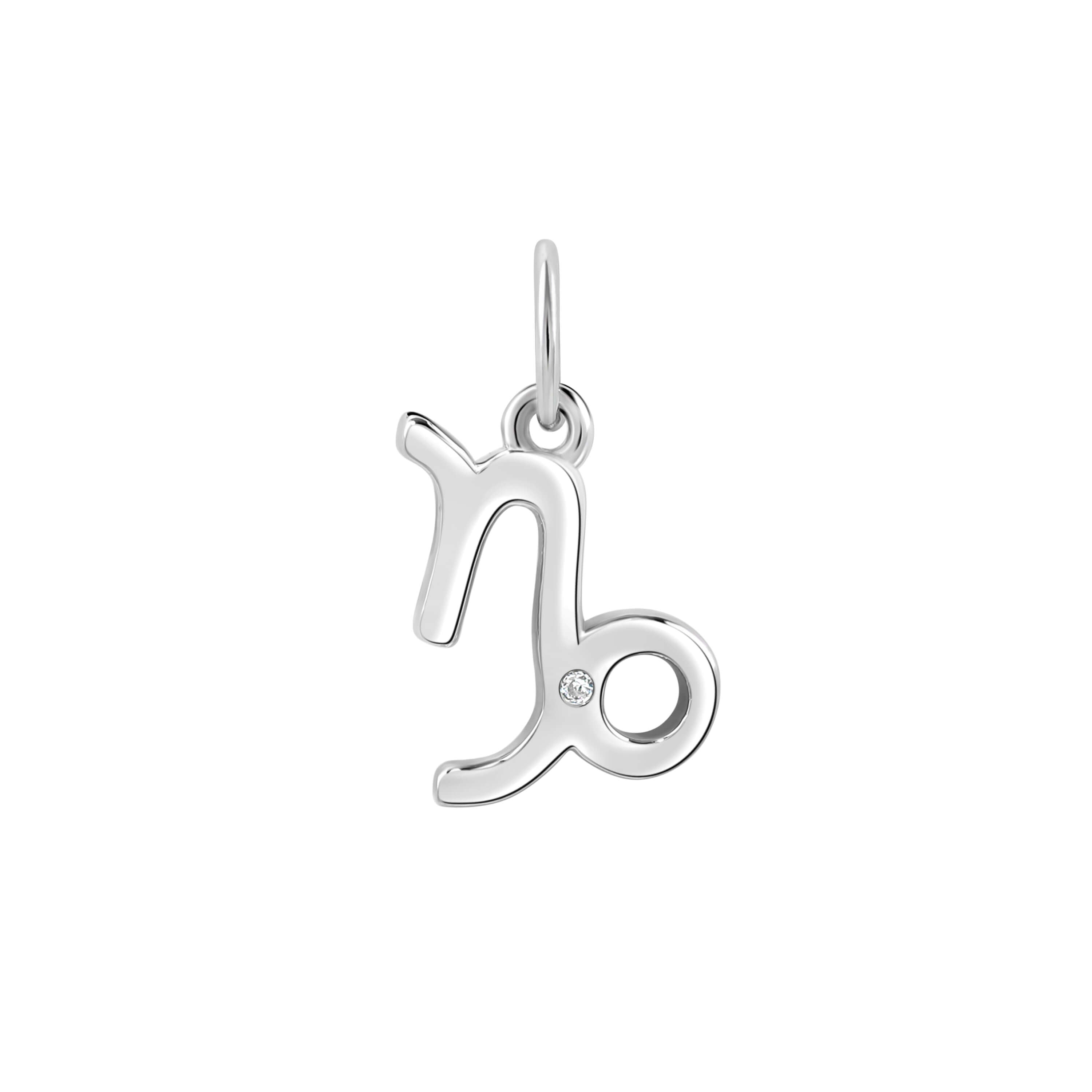 Single Zodiac Charm