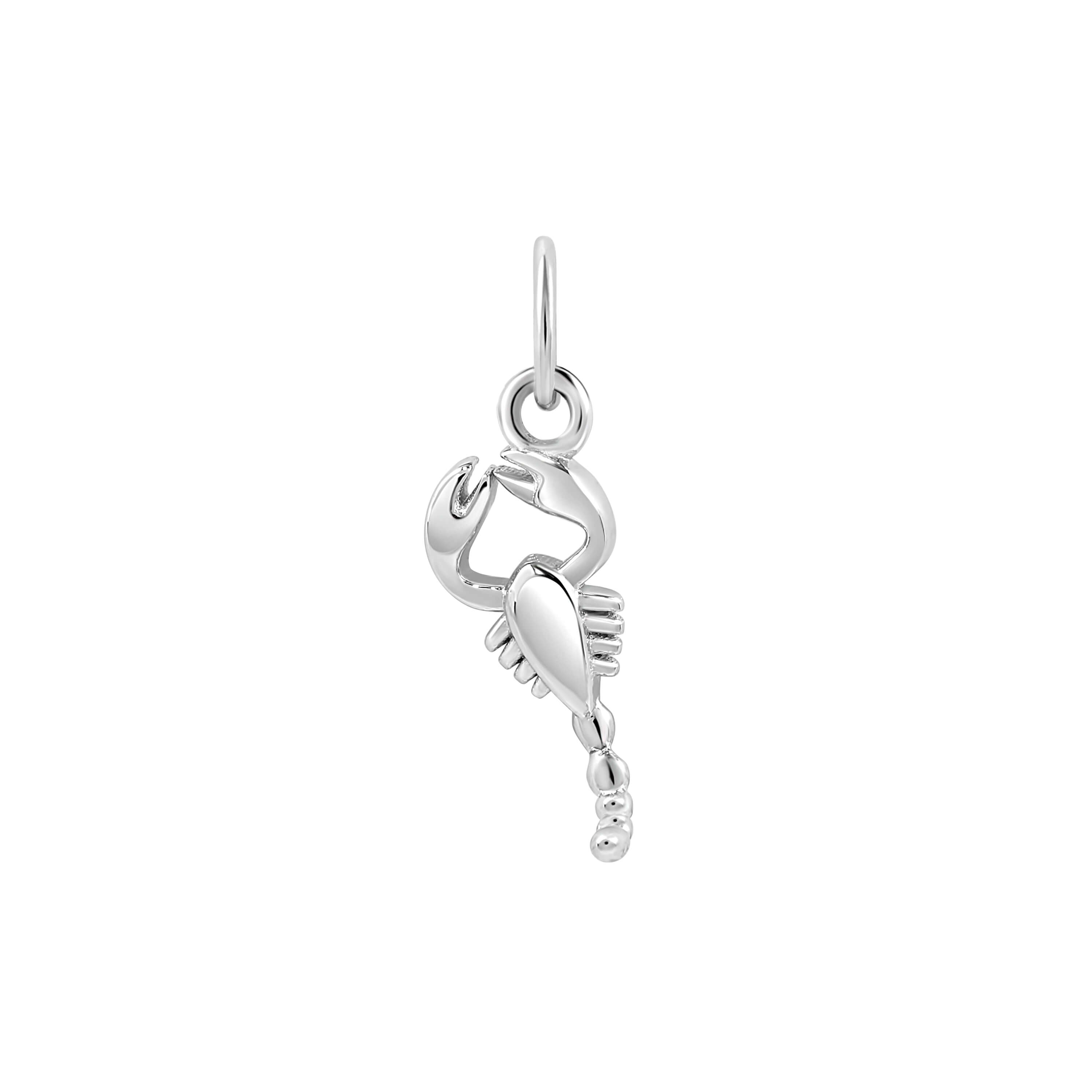 Single Zodiac Charm